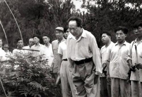 一九五九年六月二十六日毛泽东父母坟前鞠躬.jpg